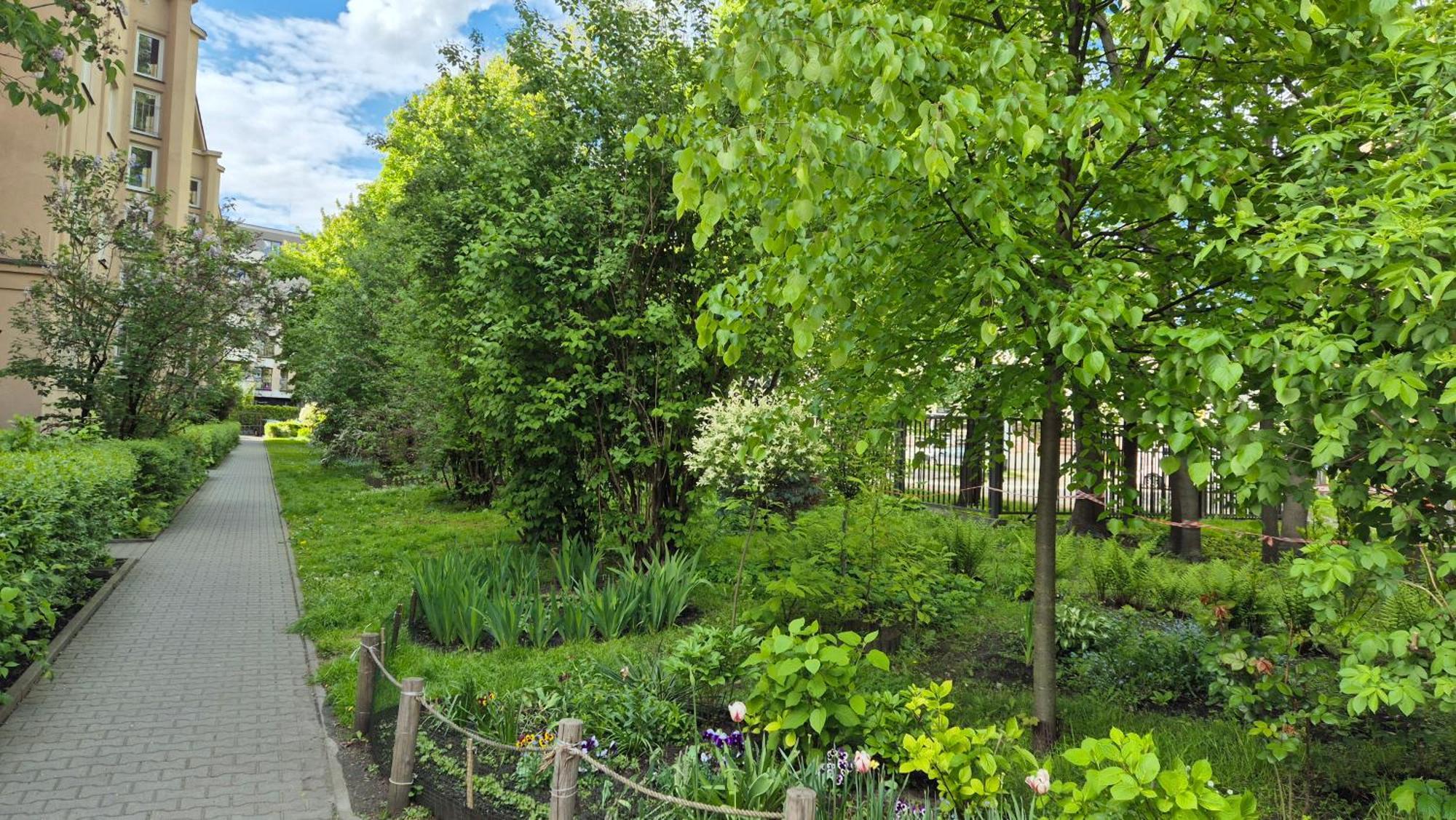 Apartament Daszynskiego Krakau Exterior foto